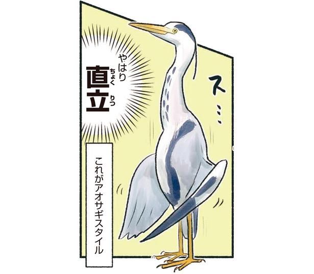 これがアオサギスタイル （C）piro piro piccolo／KADOKAWA