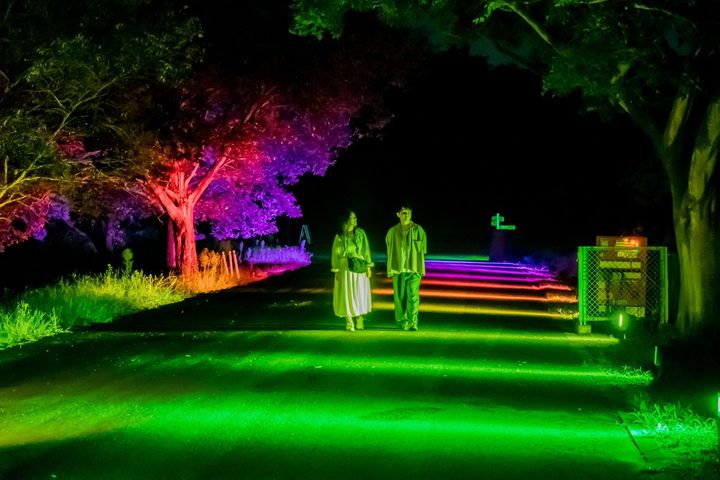カラフルにライトアップされたみはらしエリア周辺の園路