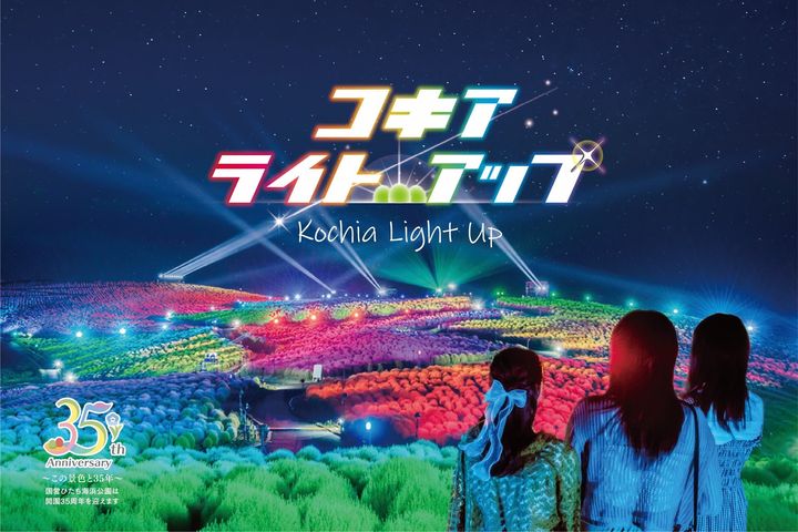 コキアライトアップ2026 星空をテーマにしたメインビジュアル