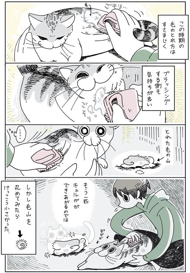 もう一匹できあがるのでは （C）キュルZ／KADOKAWA