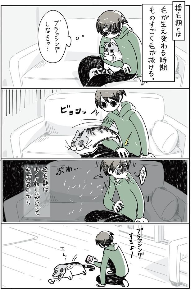 ブラッシングしなきゃ… （C）キュルZ／KADOKAWA