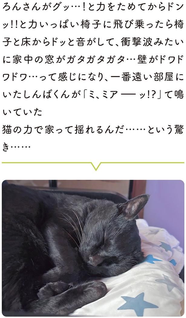 猫の力で家って揺れるんだ…… （C）AKR／KADOKAWA