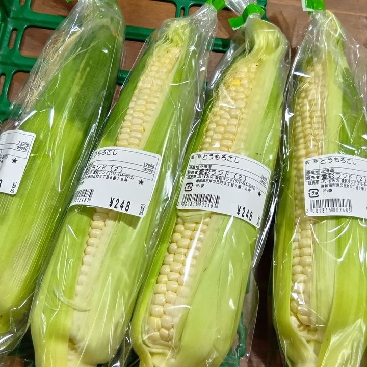 おいしいとうもろこしの選び方！道の駅で見つけた「生で食べられるホワイトコーン」で学ぶ目利き術