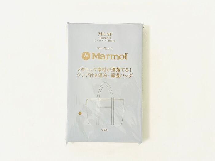 【40代・50代】人気アウトドアブランドの特大トートバッグを〈付録〉でゲット。クールなメタリックで洒落見え♡