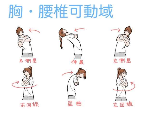 胸椎の動き