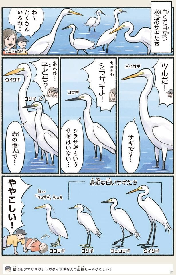ややこしい！ （C）piro piro piccolo／KADOKAWA