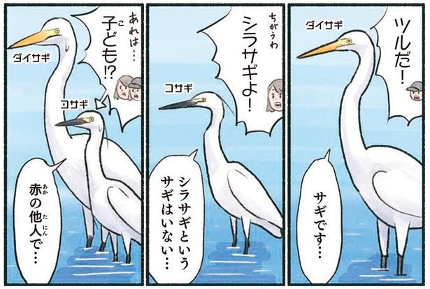 シラサギというサギはいない… （C）piro piro piccolo／KADOKAWA