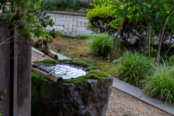 【群馬県みなかみ町】温泉旅館「御宿 庄屋」がリニューアル。家具ブランドMASTERWALが家具選定などを担当