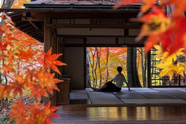 紅葉に包まれながら全身を伸ばす朝のストレッチ「のびのび深呼吸」