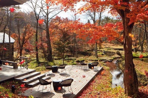 紅葉に包まれる棚田ラウンジが秋だけの特等席に