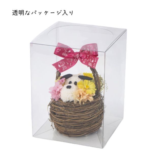 透明なパッケージ入り