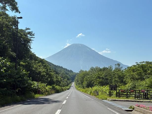 信号が少なく、ペダルをこぐリズムが途切れない