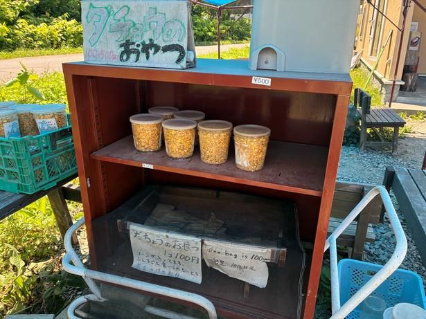 エサは牧場内の棚でセルフ購入。バケツ入りのエサは1つ500円。小銭を用意しておくとスムーズ