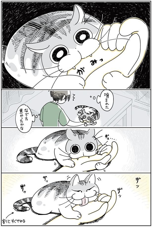 なで方悪かったかな （C）キュルZ／KADOKAWA