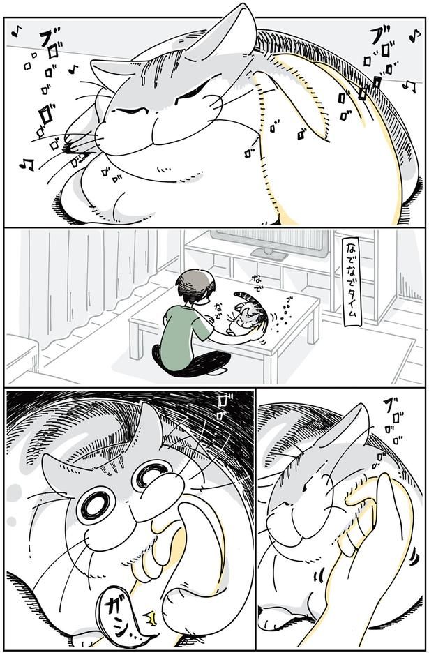 ネコが噛んできた （C）キュルZ／KADOKAWA