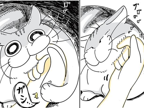 なでなでしてたら… （C）キュルZ／KADOKAWA