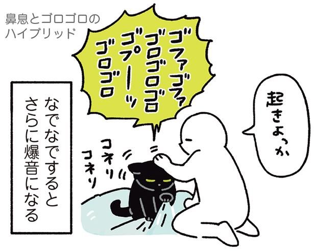 なでなでするとさらに爆音になる （C）AKR／KADOKAWA