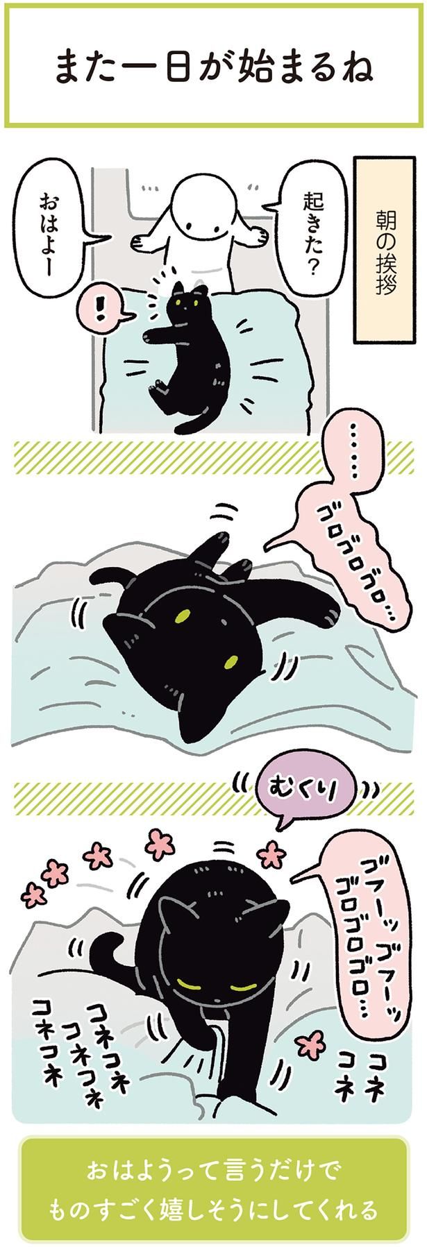 朝の挨拶 （C）AKR／KADOKAWA