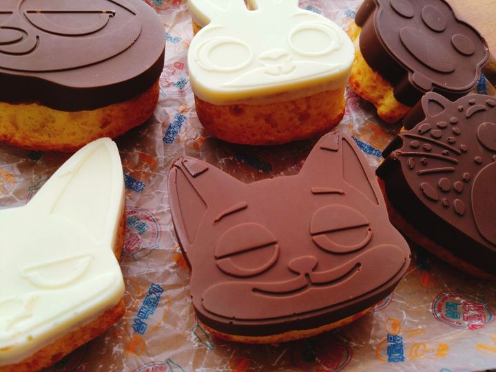 ようやくゲット出来ました！ズートピアシリコン型でチョコマドレーヌ
