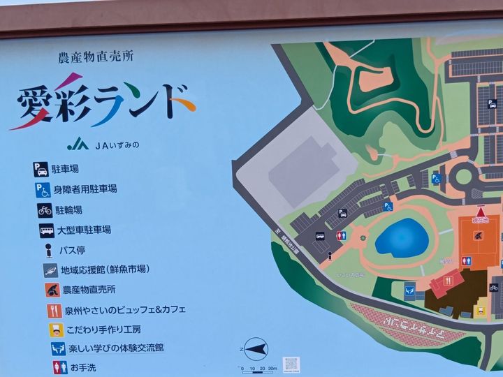 農家直送・地元産！朝どり万願寺とうがらし＆生で食べられるサラダ甘長？！おいしい一本の選び方