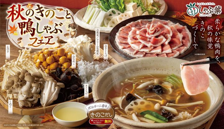 しゃぶ葉「秋のきのこと鴨しゃぶフェア」の鴨肉としゃぶしゃぶメニュー