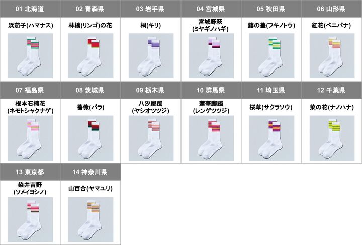 北海道から神奈川県までの「47都道府県別ラインソックス」