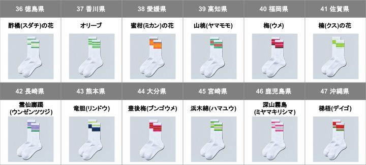徳島県から沖縄県までの「47都道府県別ラインソックス」