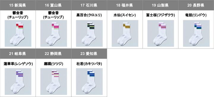 新潟県から愛知県までの「47都道府県別ラインソックス」