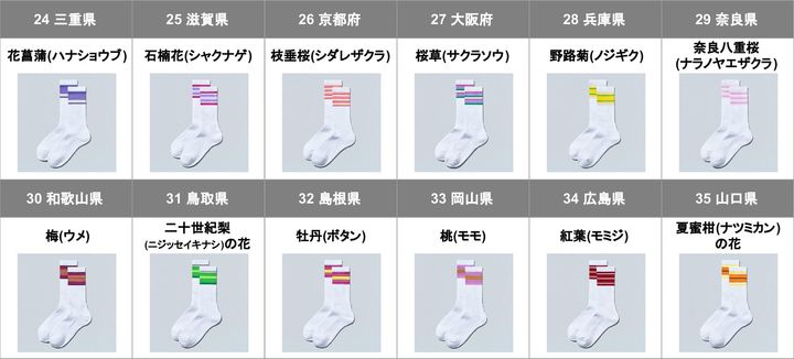 三重県から山口県までの「47都道府県別ラインソックス」