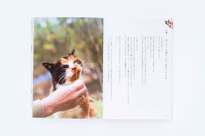 猫本専門店『キャッツ ミャウ ブックス』店主が選ぶ、お手本にしたい猫写真集6冊