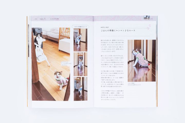 猫本専門店『キャッツ ミャウ ブックス』店主が選ぶ、お手本にしたい猫写真集6冊