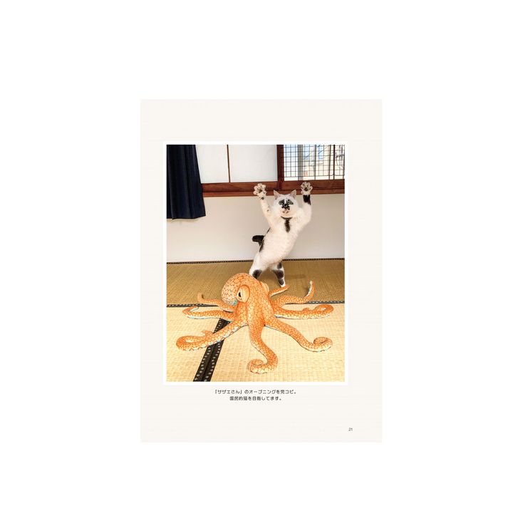 猫本専門店『キャッツ ミャウ ブックス』店主が選ぶ、お手本にしたい猫写真集6冊