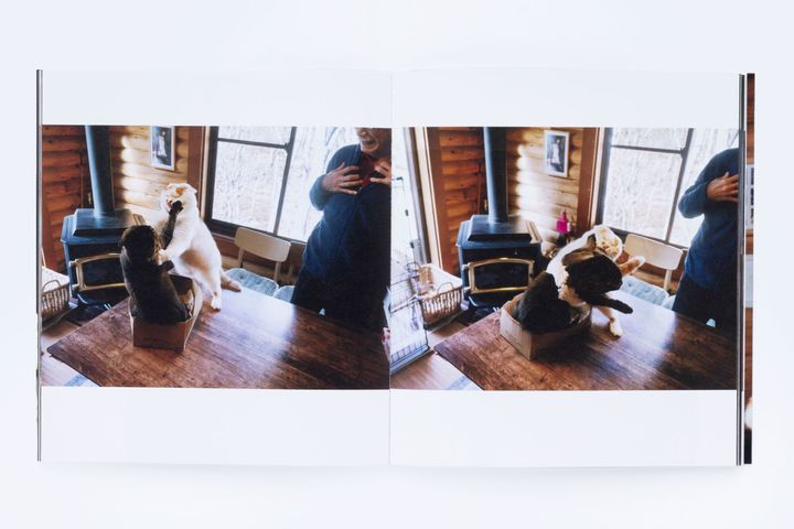 猫本専門店『キャッツ ミャウ ブックス』店主が選ぶ、お手本にしたい猫写真集6冊