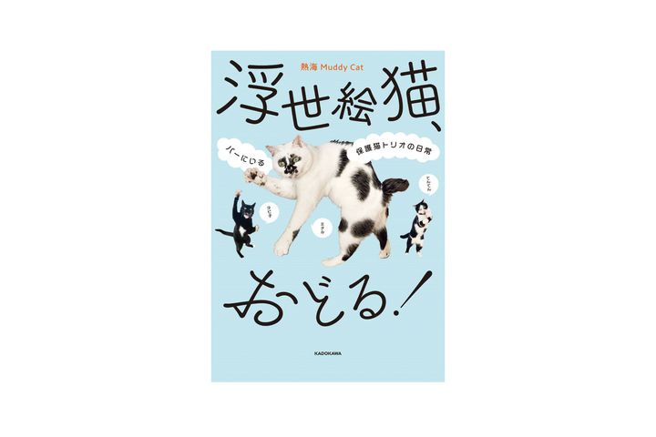 猫本専門店『キャッツ ミャウ ブックス』店主が選ぶ、お手本にしたい猫写真集6冊