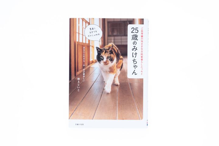 猫本専門店『キャッツ ミャウ ブックス』店主が選ぶ、お手本にしたい猫写真集6冊