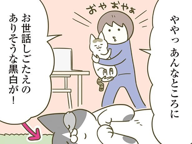 猫を連れて向かった先は （C）卵山玉子／KADOKAWA