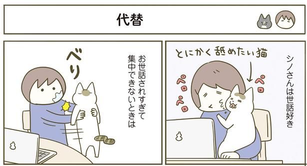 代替 （C）卵山玉子／KADOKAWA