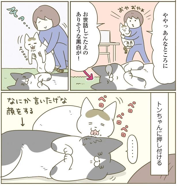 ややっ あんなところに （C）卵山玉子／KADOKAWA
