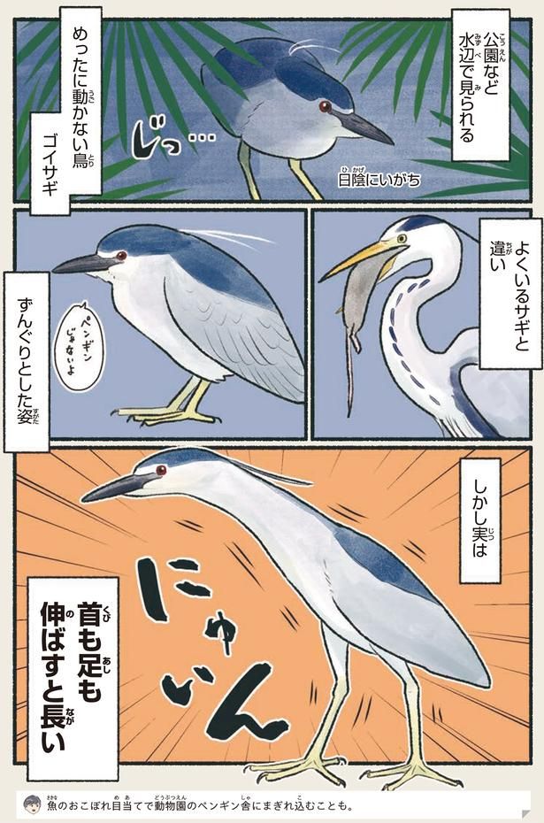首も足も伸ばすと長い （C）piro piro piccolo／KADOKAWA