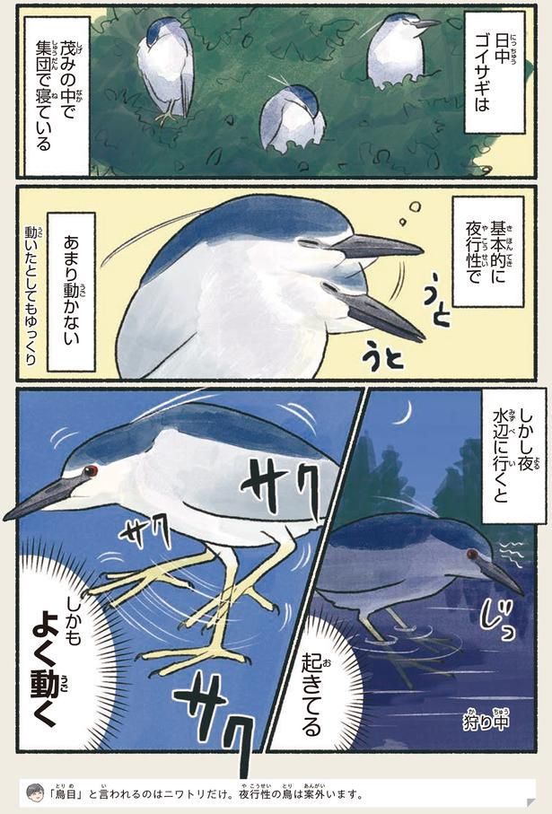 よく動く （C）piro piro piccolo／KADOKAWA