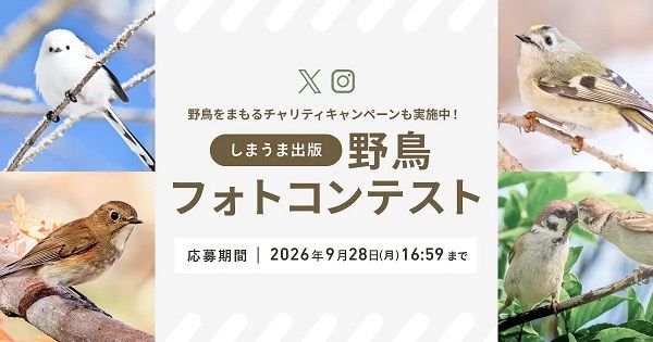 SNSに投稿するだけで参加できる「しまうま出版野鳥フォトコンテスト」開催！野鳥保護チャリティ企画も