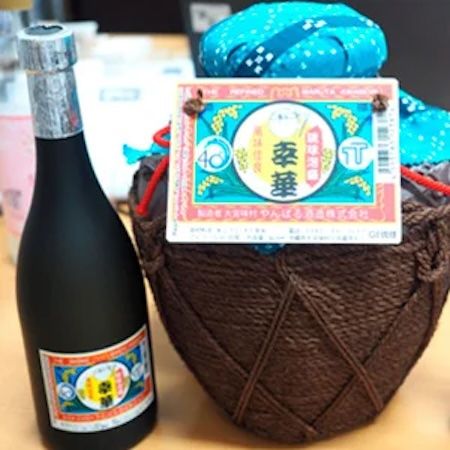 東京工科大学、キャンパスのソメイヨシノから分離した“桜酵母”でクラフトビールを開発