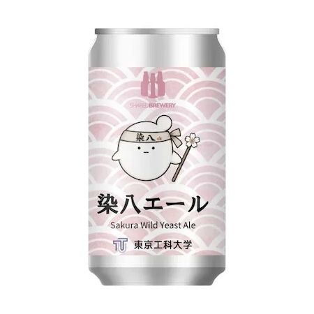 東京工科大学、キャンパスのソメイヨシノから分離した“桜酵母”でクラフトビールを開発