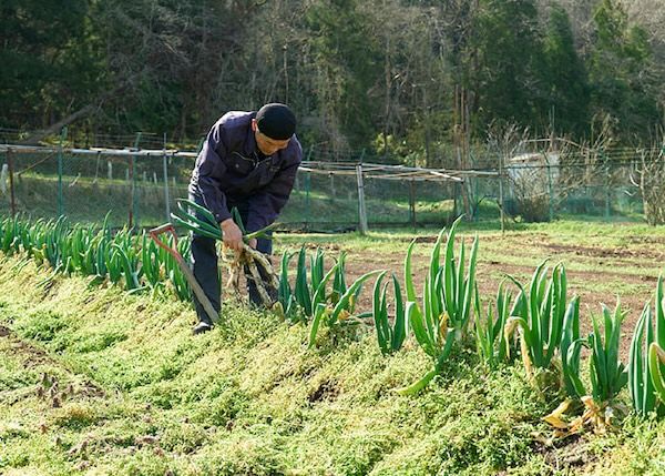 【山形県天童市】山形・天童温泉 ほほえみの宿 滝の湯の“人と自然にやさしい宿づくり”の取り組みを紹介