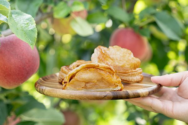 30品種のりんごを食べ比べ！Apple Pockets全種コンプリート頒布会スタート