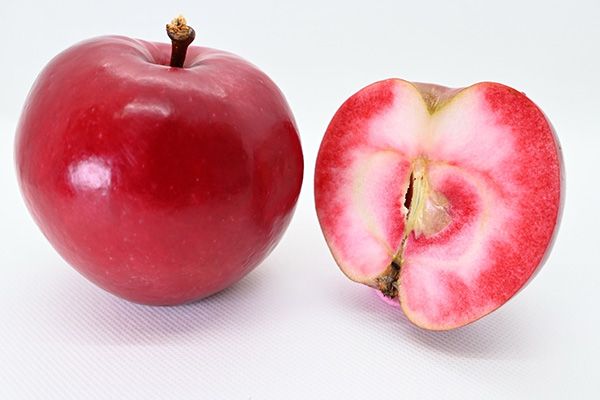 30品種のりんごを食べ比べ！Apple Pockets全種コンプリート頒布会スタート