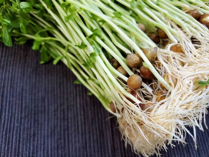 ピーマンのタネ、もう取らなくてOK！？実は丸ごと食べられる♡捨てがちな野菜のタネ3選