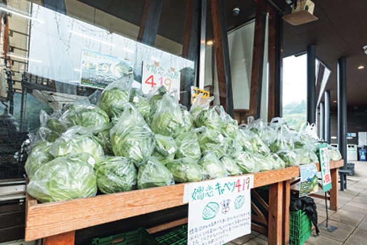 志賀高原から広がる夏ツーリング