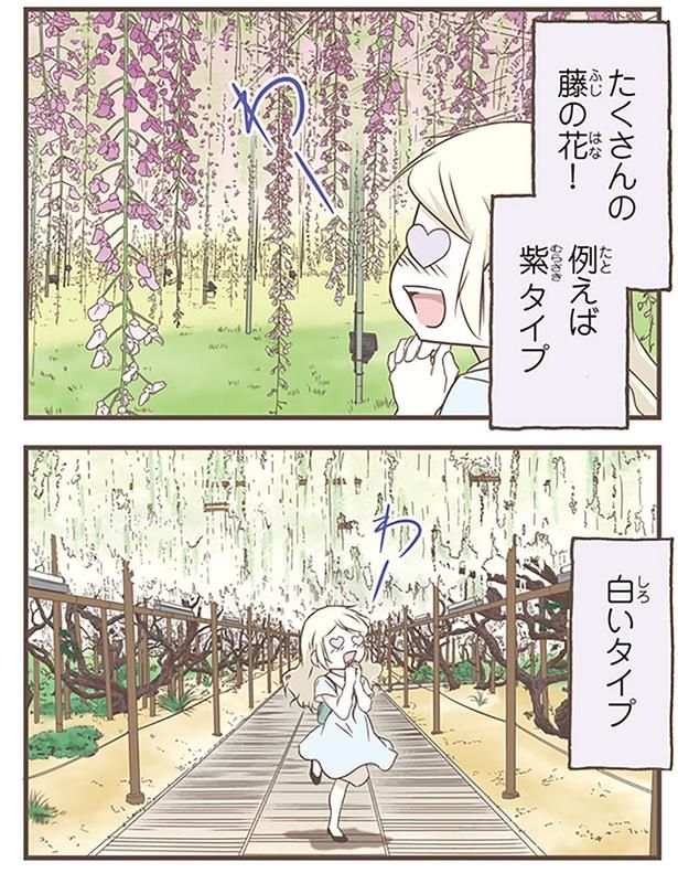 たくさんの藤の花！ （C）オーサ・イェークストロム／KADOKAWA