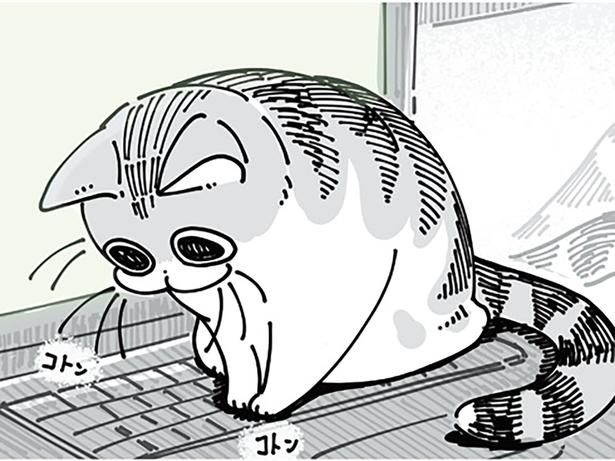 キーボードの上に… （C）キュルZ／KADOKAWA